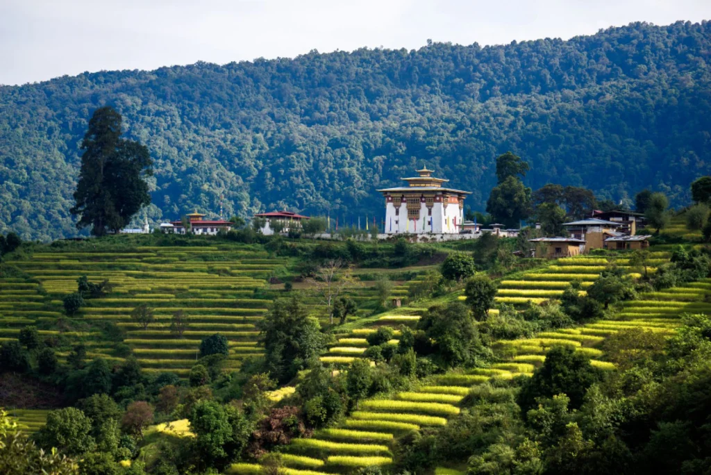 Classical Bhutan Tour – 9 Days – photo 7