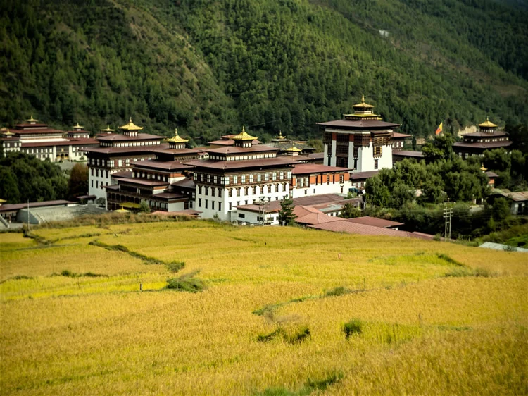 Beekeeping Tour Bhutan – 10 Days – photo 3