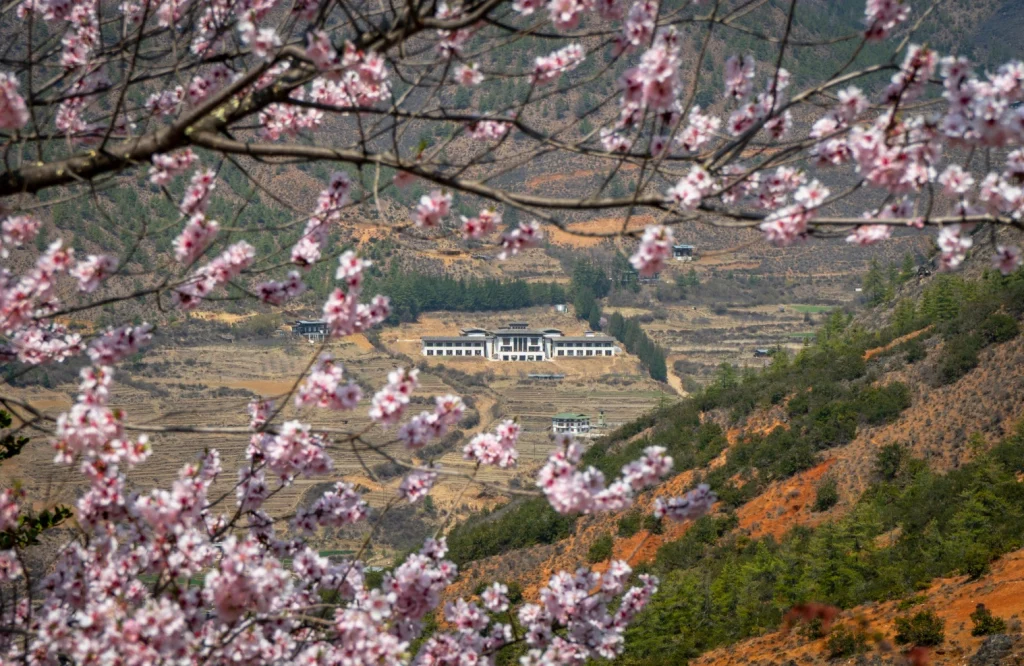 Female Solo Tour Bhutan – 7 Days – photo 3