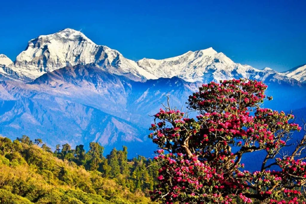 Discover Bhutan Tour – 14 Days – photo 1
