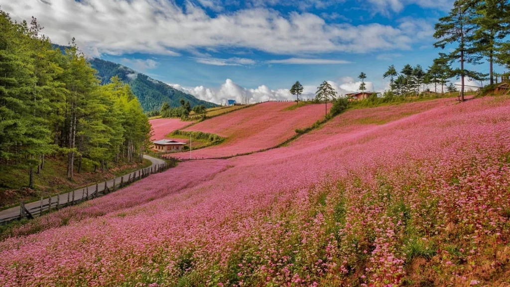 Classical Bhutan Tour – 11 Days – photo 6