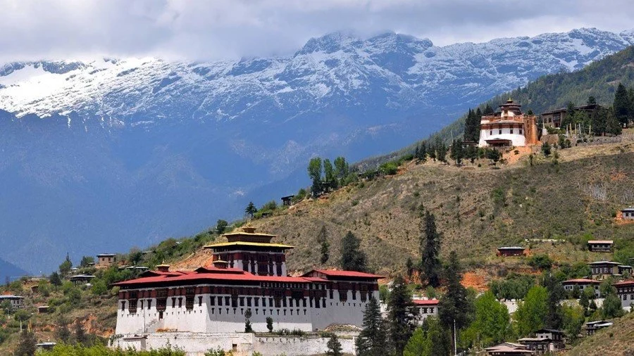 Paro Festival Tour – photo 5
